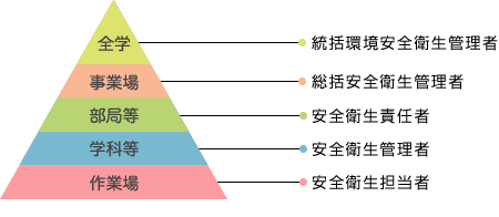 全学：統括環境安全衛生管理者、事業場：統括安全衛生管理者、部局等：安全衛生責任者、学科等：安全衛生管理者、作業場：安全衛生担当者